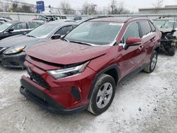 Salvage cars for sale from Copart Walton, KY: 2023 Toyota Rav4 XLE