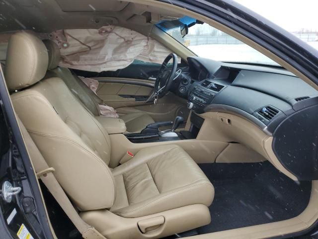 2008 Honda Accord EXL