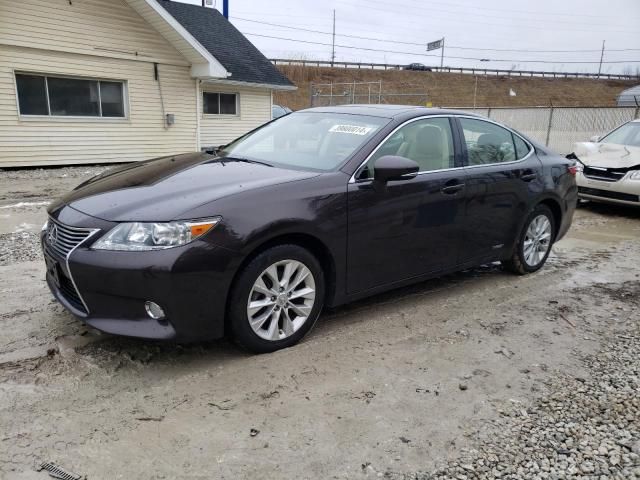 2013 Lexus ES 300H