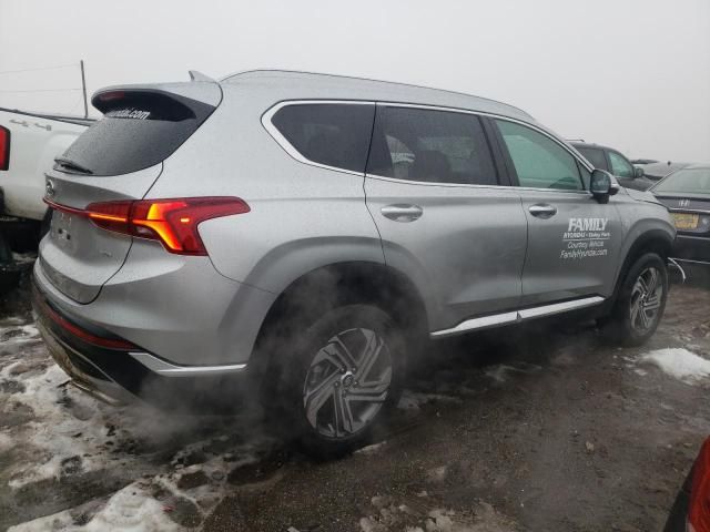 2023 Hyundai Santa FE SEL Premium