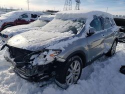 Salvage cars for sale from Copart Elgin, IL: 2012 Mazda CX-9