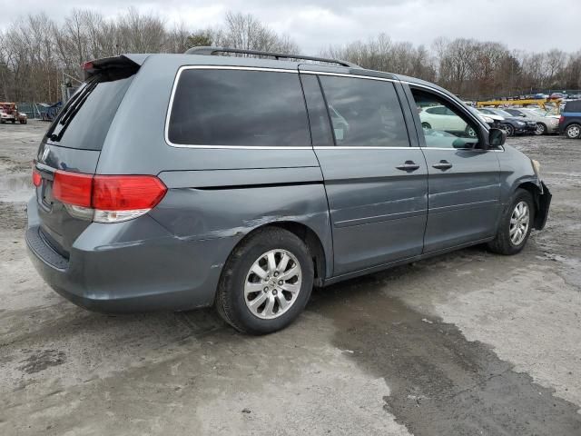 2010 Honda Odyssey EXL