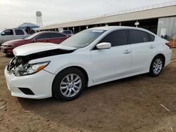 Salvage cars for sale at Phoenix, AZ auction: 2016 Nissan Altima 2.5