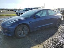 Salvage cars for sale from Copart Eugene, OR: 2023 Tesla Model 3