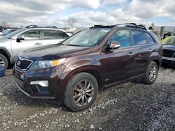 KIA Vehiculos salvage en venta: 2013 KIA Sorento SX