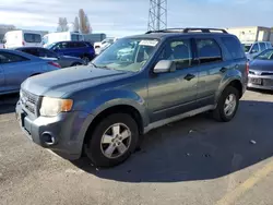 Salvage cars for sale at Vallejo, CA auction: 2010 Ford Escape XLS