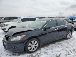 Honda Accord salvage cars for sale: 2008 Honda Accord EXL