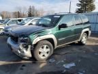 2003 Chevrolet Trailblazer