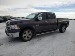 Salvage cars for sale from Copart Rocky View County, AB: 2014 Dodge RAM 1500 SLT