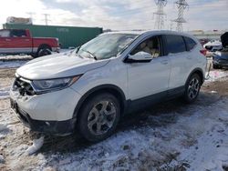 Salvage cars for sale from Copart Elgin, IL: 2019 Honda CR-V EXL
