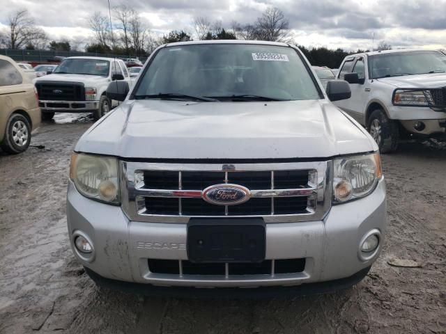 2008 Ford Escape XLT