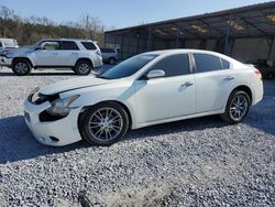 Nissan Maxima S salvage cars for sale: 2009 Nissan Maxima S