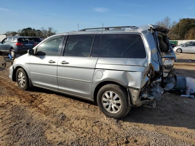 2008 Honda Odyssey EXL