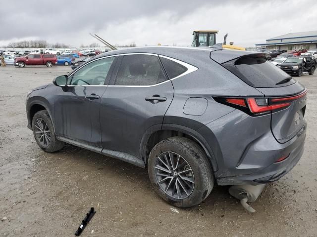 2022 Lexus NX 250