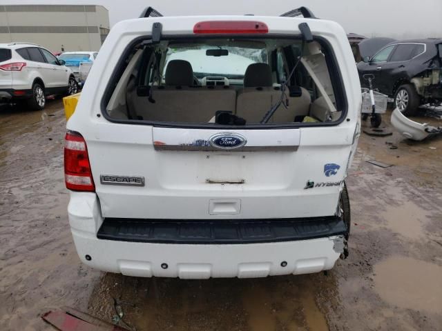 2008 Ford Escape HEV