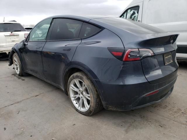 2020 Tesla Model Y