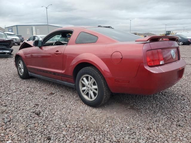 2005 Ford Mustang