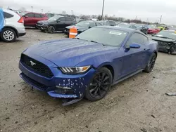 Salvage cars for sale at Indianapolis, IN auction: 2016 Ford Mustang