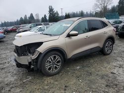 2020 Ford Escape SEL for sale in Graham, WA