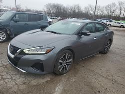 Nissan salvage cars for sale: 2020 Nissan Maxima SV