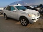 2007 Mercedes-Benz ML 500