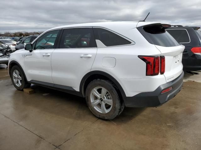 2023 KIA Sorento LX