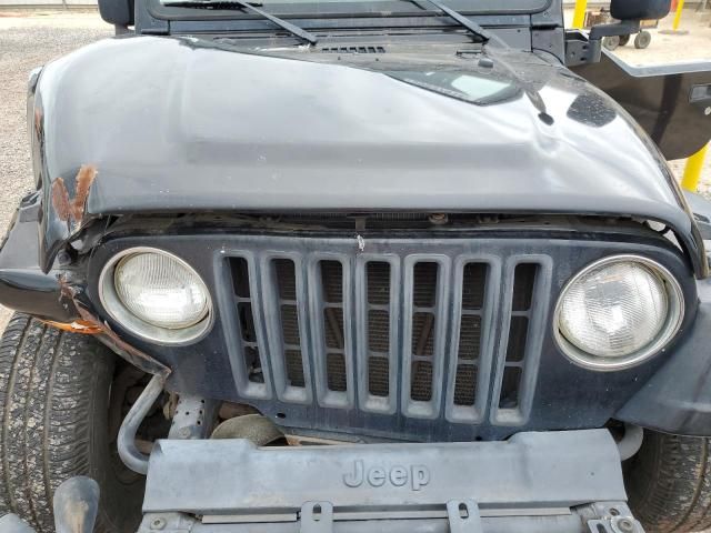 2006 Jeep Wrangler / TJ SE