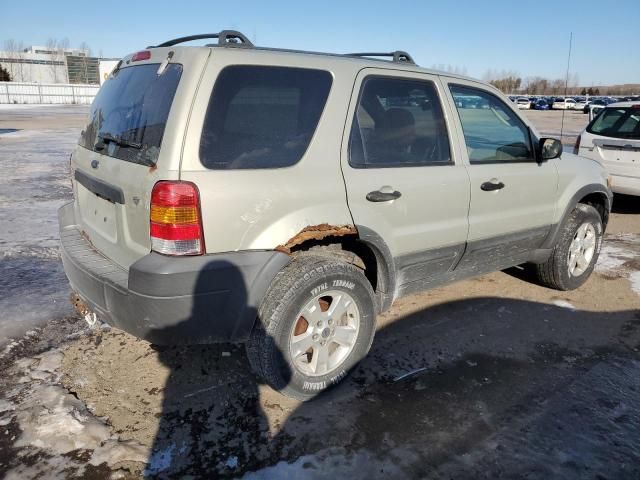 2005 Ford Escape XLT