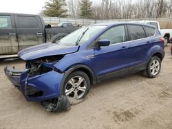 Salvage cars for sale from Copart Davison, MI: 2016 Ford Escape SE