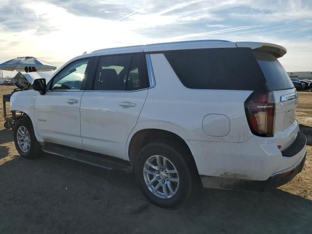 2024 Chevrolet Tahoe K1500 LS