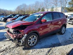 Salvage cars for sale at North Billerica, MA auction: 2019 Ford Escape SE