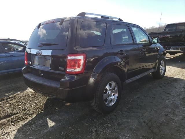 2011 Ford Escape Limited