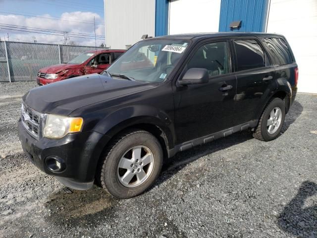 2011 Ford Escape XLT