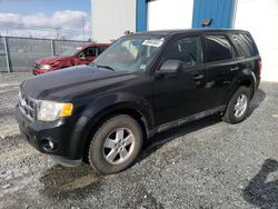 Salvage cars for sale from Copart Elmsdale, NS: 2011 Ford Escape XLT