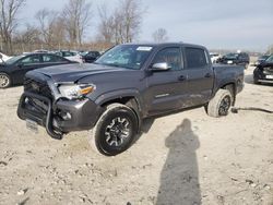 Salvage cars for sale from Copart Cicero, IN: 2021 Toyota Tacoma Double Cab