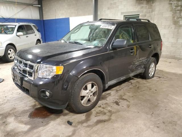 2011 Ford Escape XLT