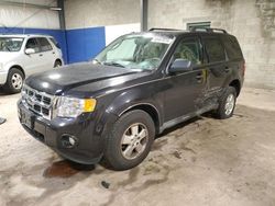 Salvage cars for sale at Chalfont, PA auction: 2011 Ford Escape XLT