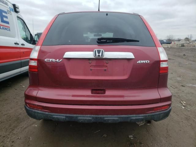 2010 Honda CR-V EX