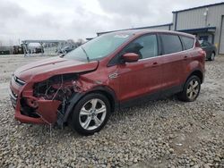 Ford Escape SE salvage cars for sale: 2014 Ford Escape SE