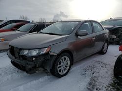Salvage cars for sale at Rocky View County, AB auction: 2011 KIA Forte EX