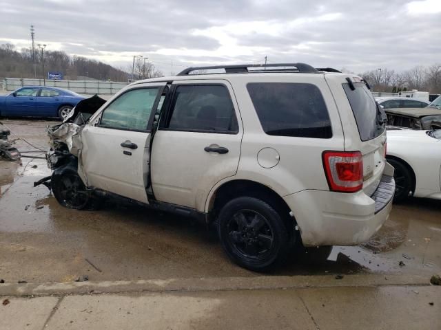 2012 Ford Escape XLT