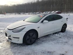 2019 Tesla Model 3 en venta en Finksburg, MD