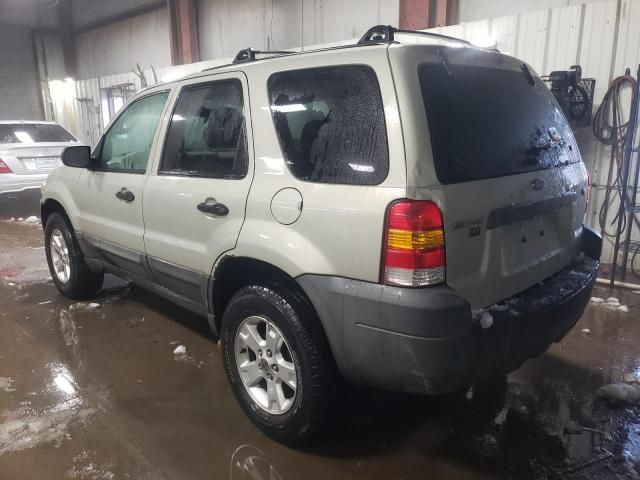 2006 Ford Escape XLT