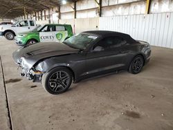 Ford salvage cars for sale: 2019 Ford Mustang