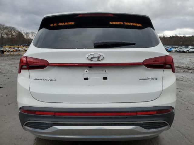 2023 Hyundai Santa FE Limited