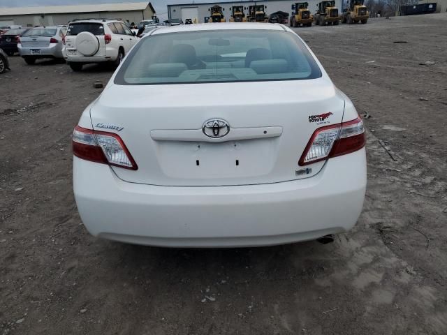 2009 Toyota Camry Hybrid