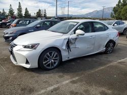 Lexus IS 300 salvage cars for sale: 2020 Lexus IS 300