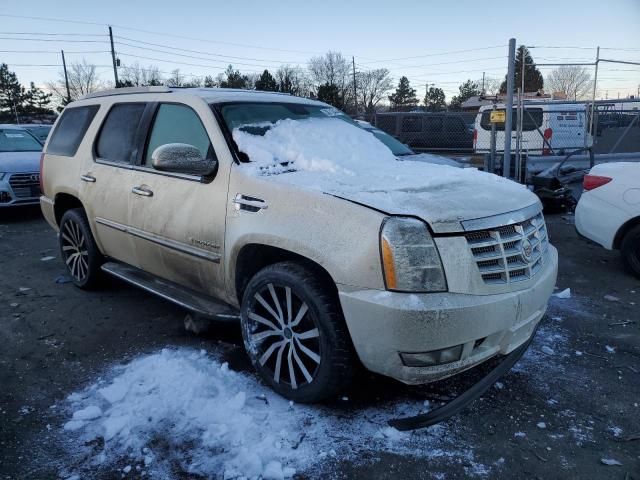 2014 Cadillac Escalade Luxury