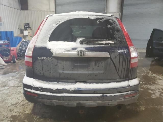 2010 Honda CR-V EXL