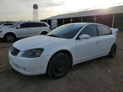 Salvage cars for sale at Phoenix, AZ auction: 2005 Nissan Altima S